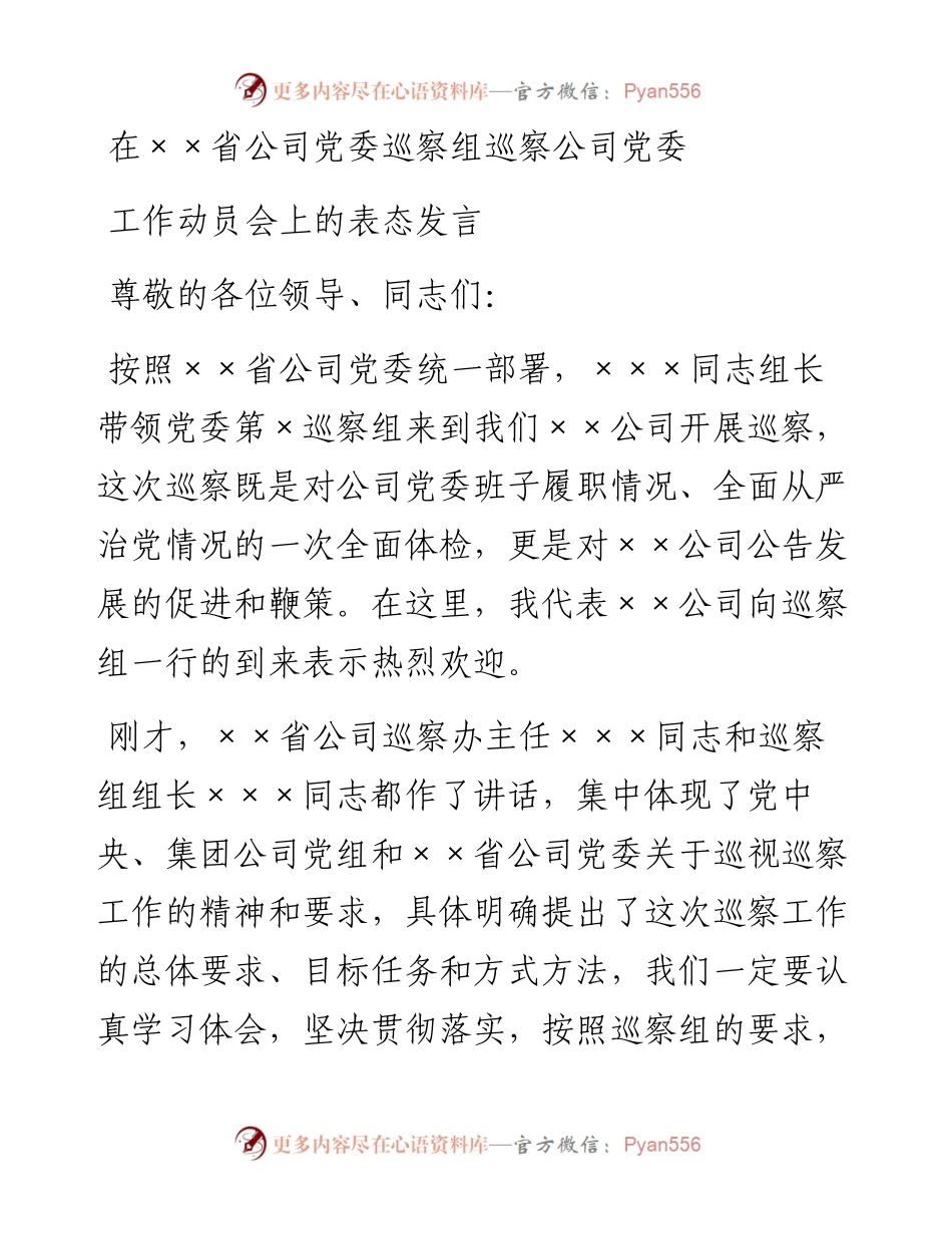党委书记在巡察公司党委工作动员会上的表态发言.docx_第1页