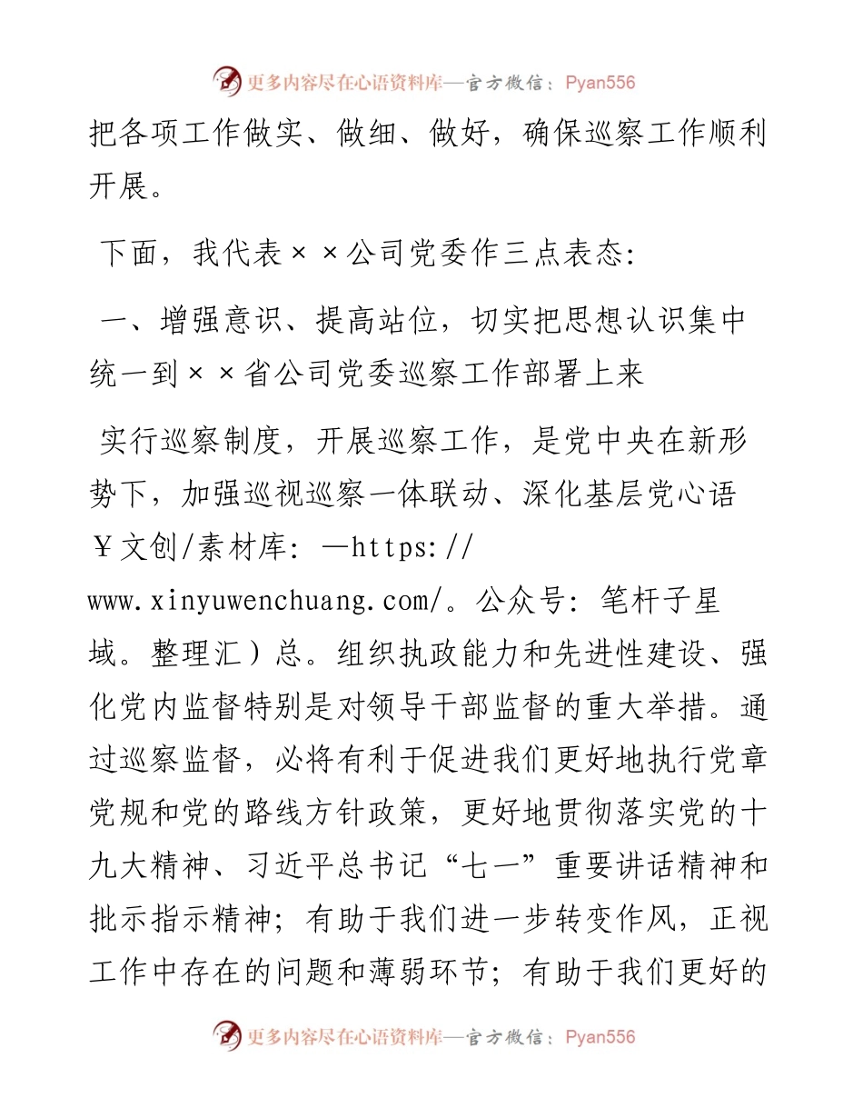 党委书记在巡察公司党委工作动员会上的表态发言.docx_第2页