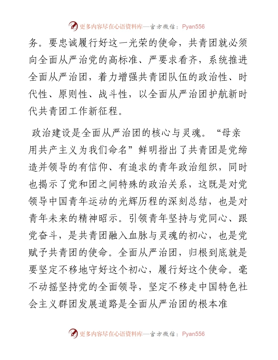 以全面从严治团护航新时代共青团工作新征程.docx_第2页