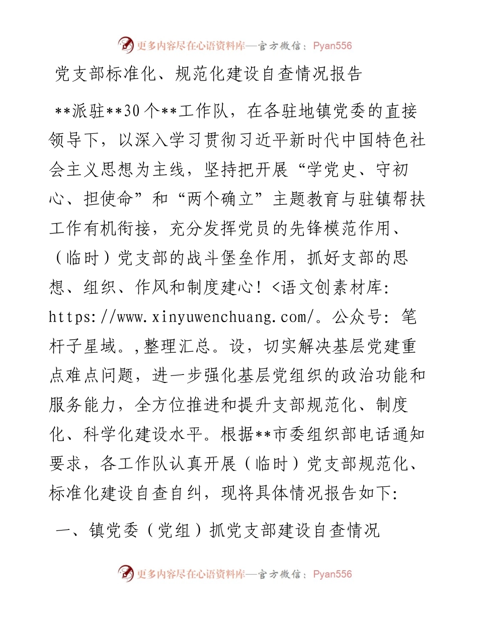 党支部标准化、规范化建设自查情况报告.docx_第1页