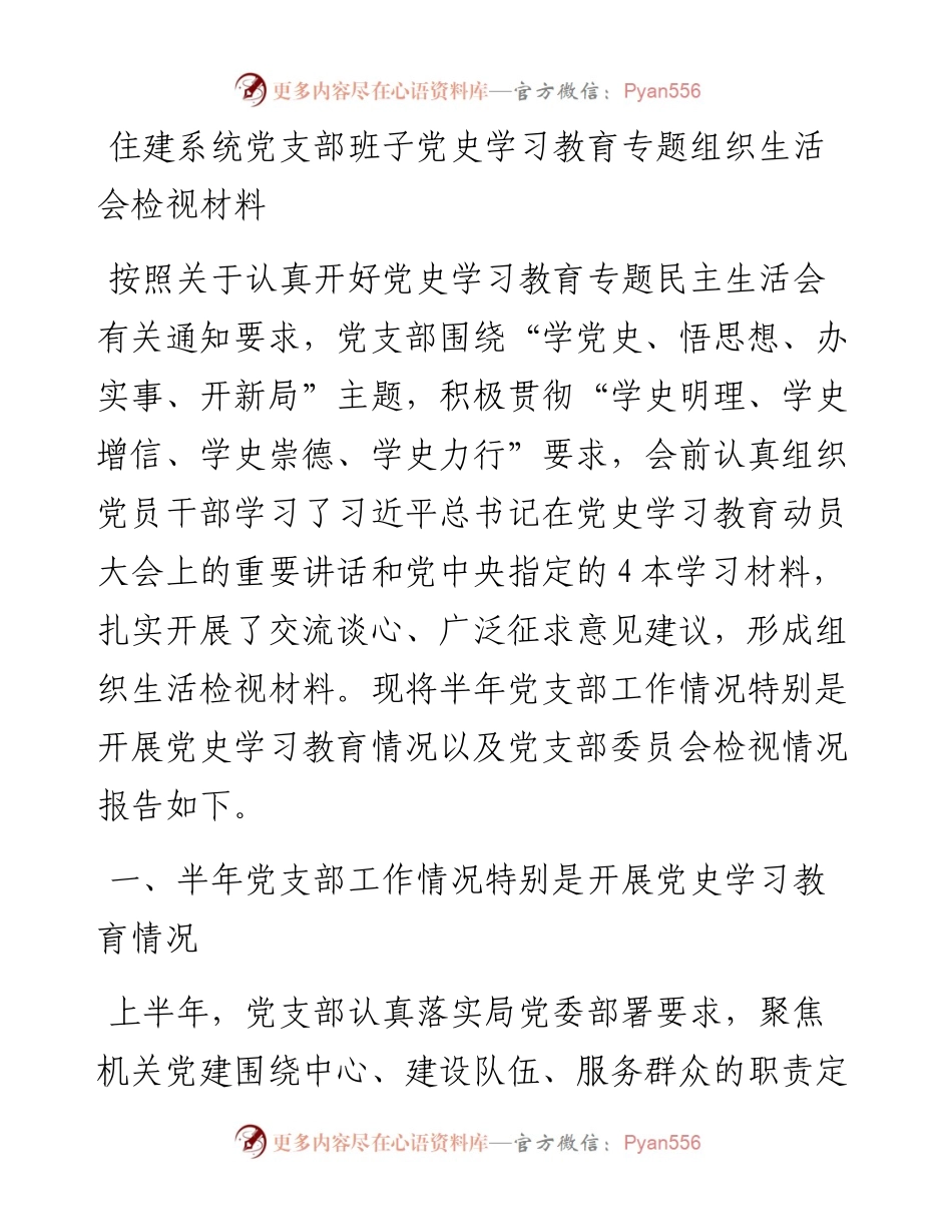 住建系统党支部班子党史学习教育专题组织生活会检视材料.docx_第1页