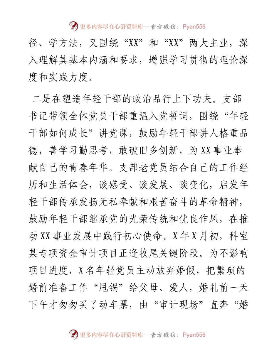 党支部干部工作总结.docx_第2页