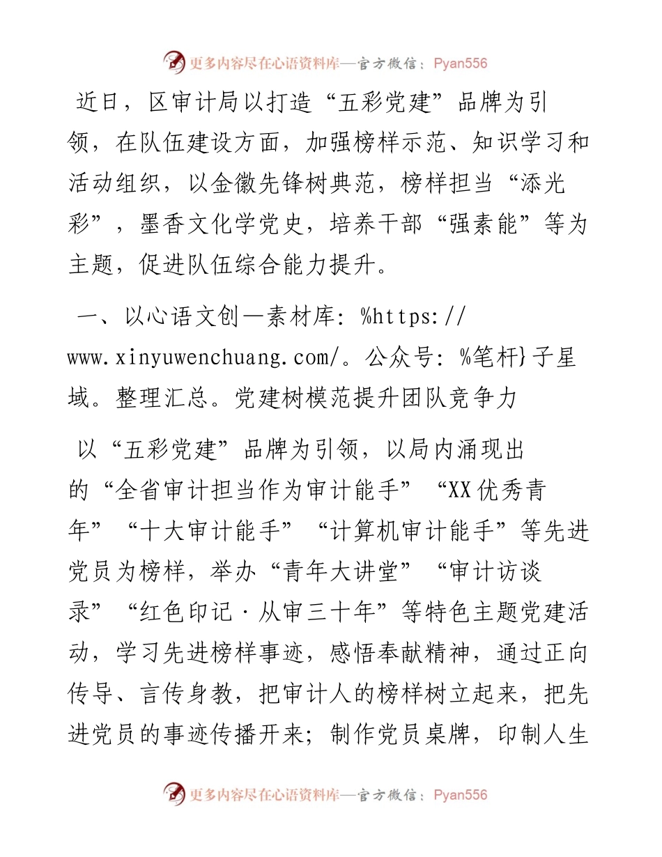 党建品牌创建工作材料：强化“五彩党建”品牌引领提升队伍战斗力（区审计局）.docx_第1页