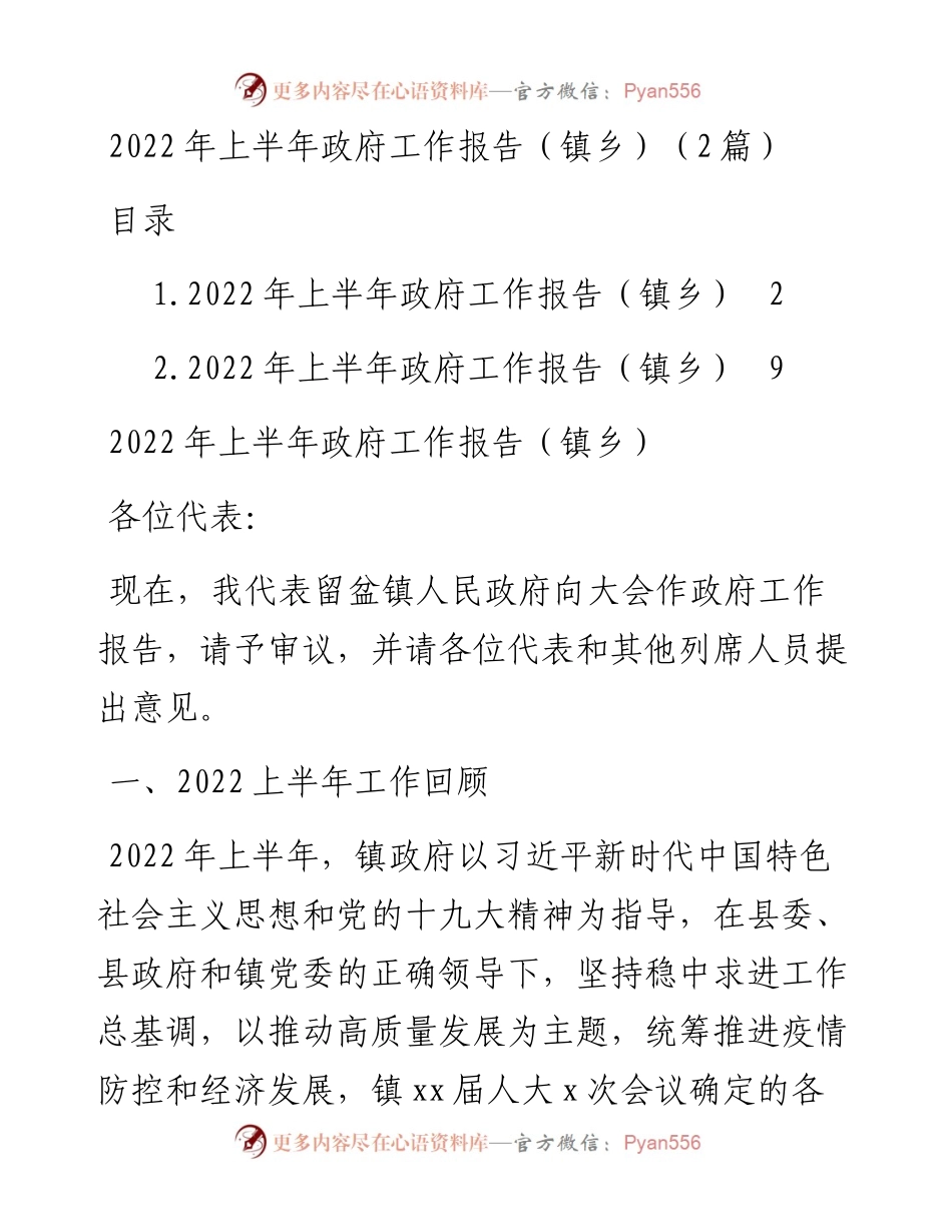 上半年政府工作报告（镇乡）（2篇）.docx_第1页