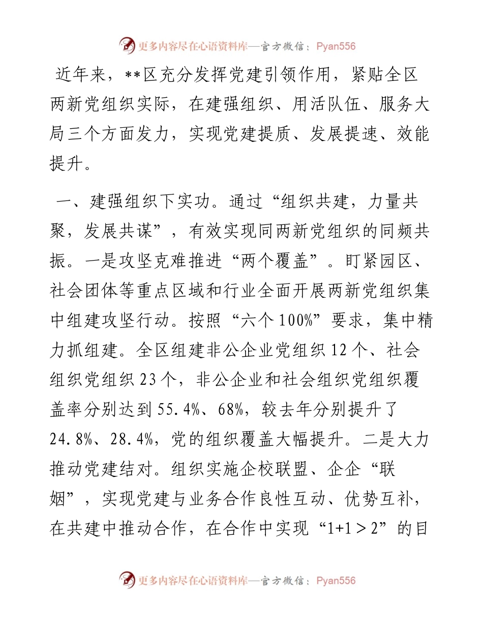 两新党建工作汇报.docx_第1页