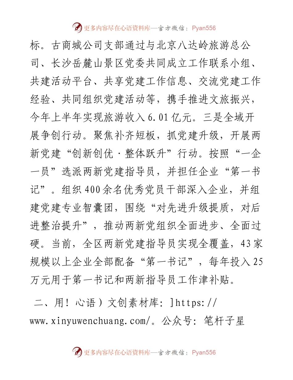 两新党建工作汇报.docx_第2页