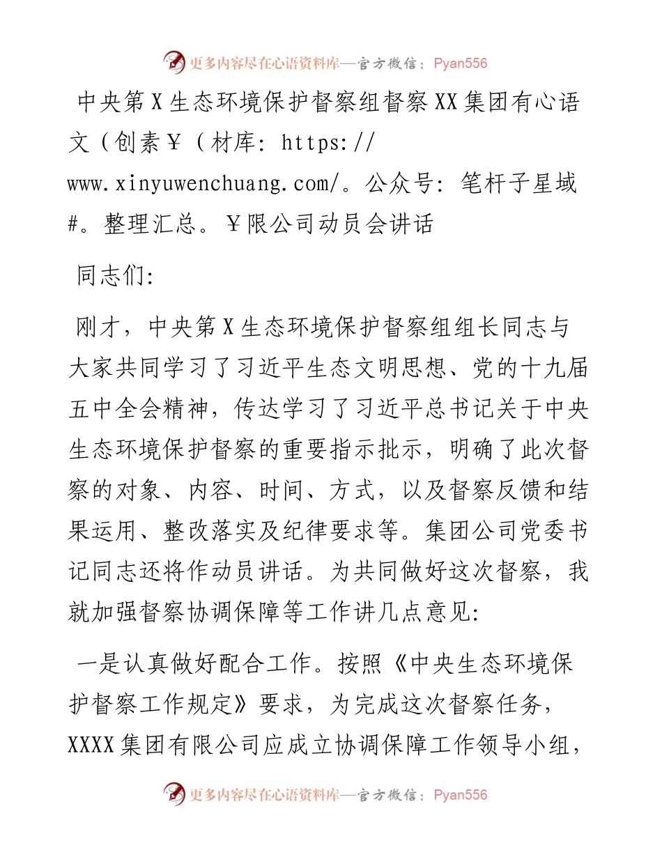 中央第XX生态环境保护督察组副组长在进驻动员会上的讲话.docx_第1页