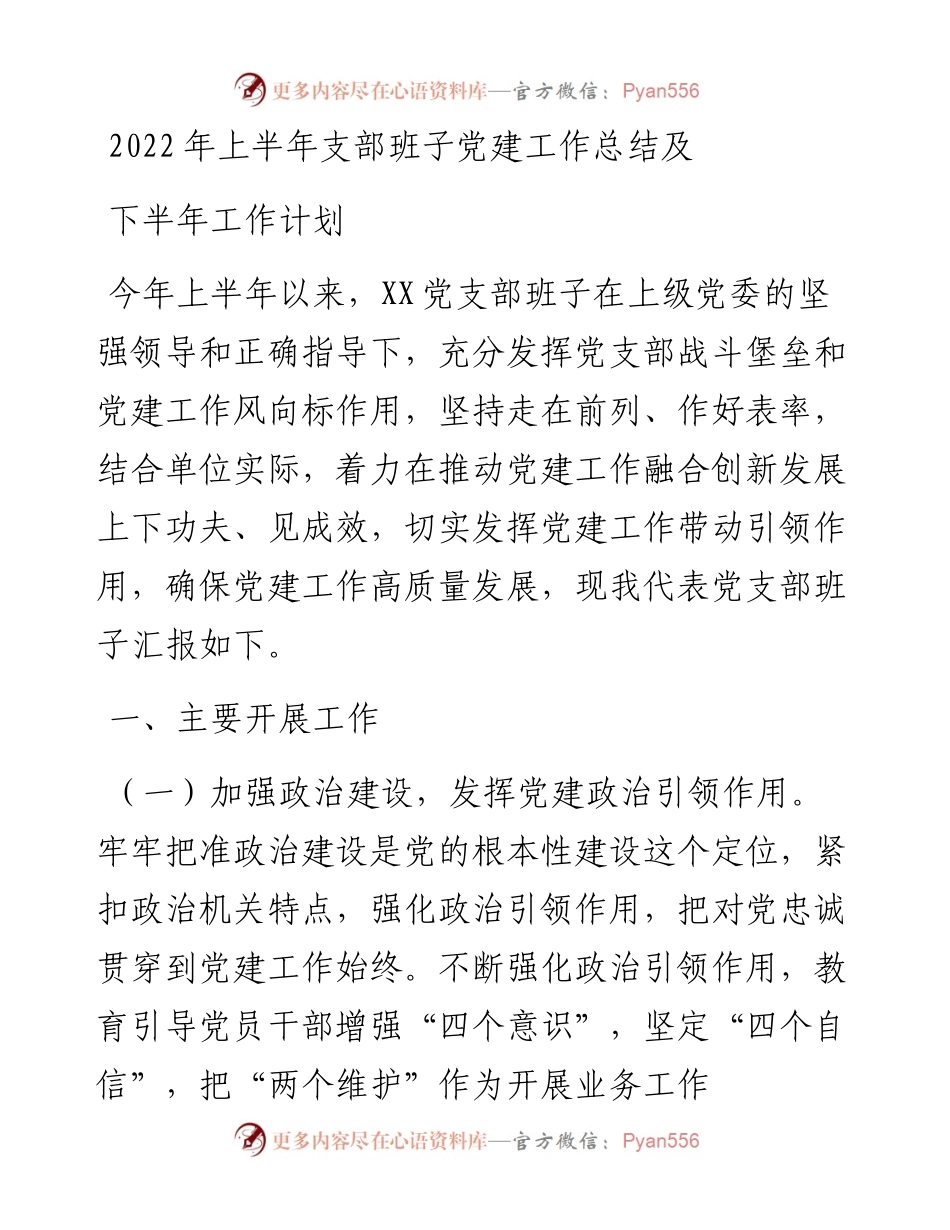 上半年支部班子党建工作总结及下半年工作计划.docx_第1页