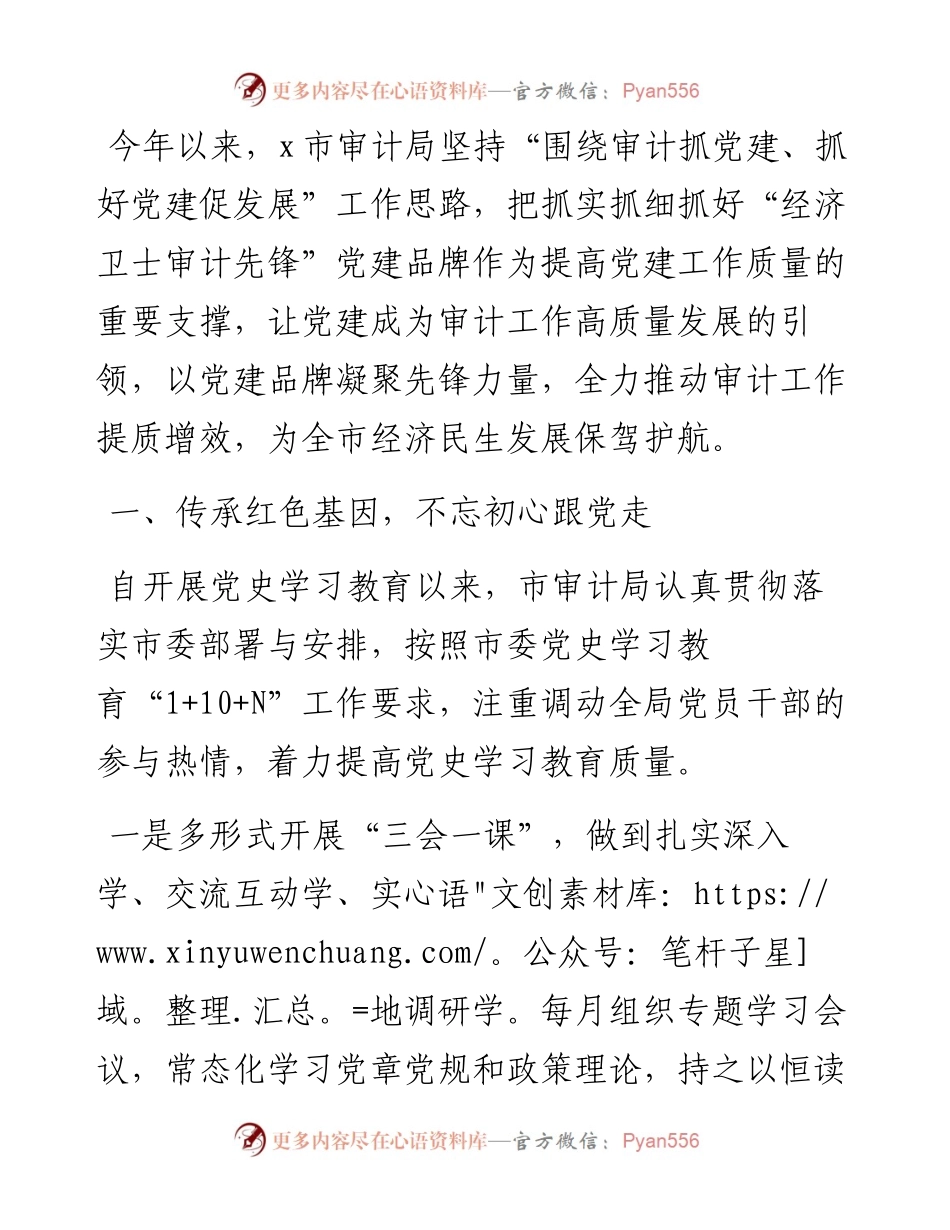 党建品牌创建工作材料：着力建设“经济卫士审计先锋”党建品牌（市审计局）.docx_第1页