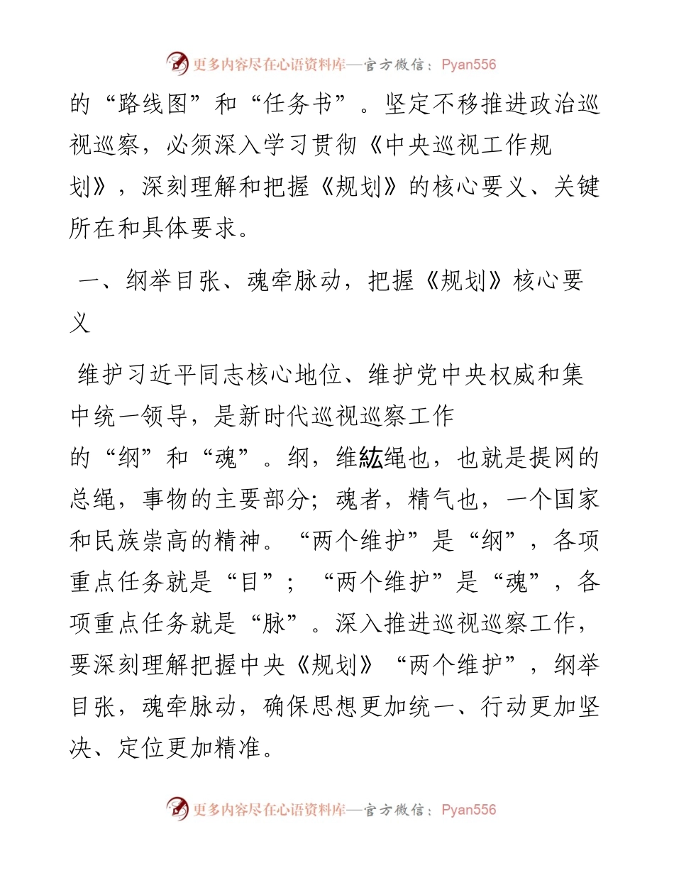 交流发言：坚定两个维护 抓住四个关键 推进政治巡视巡察向纵深发展（巡察工作领导小组组长）.docx_第2页