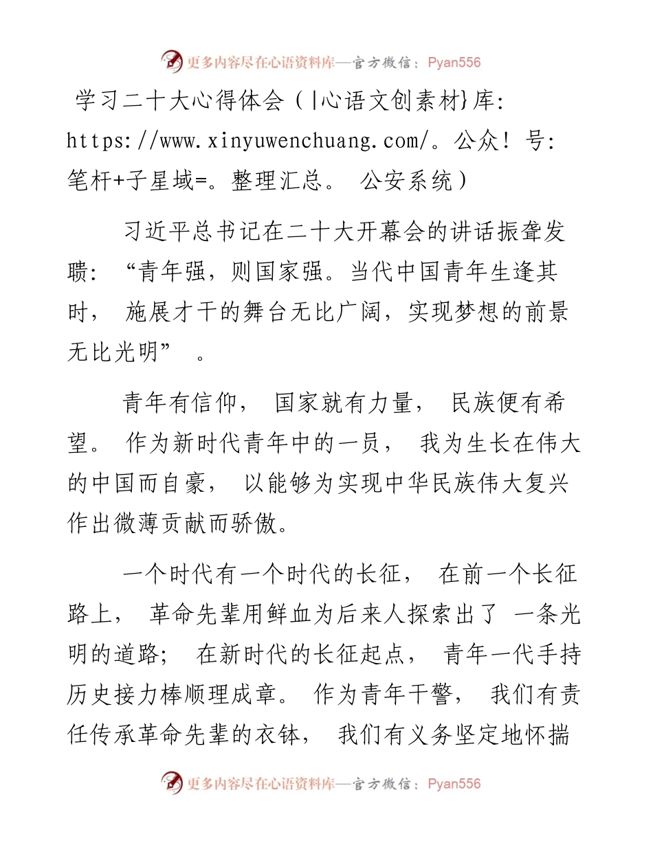 二十大心得体会（公安系统5篇）.docx_第1页