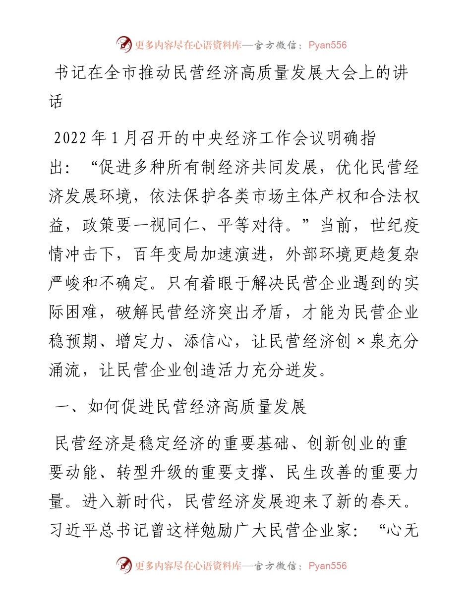 书记在全市推动民营经济高质量发展大会上的讲话.docx_第1页