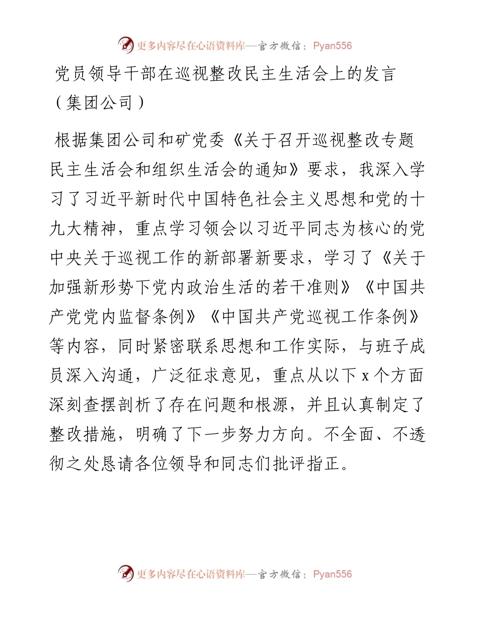 党员领导干部在巡视整改民主生活会上的发言（集团公司）.docx_第1页