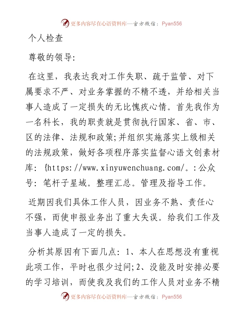 个人检查（二十五）.docx_第1页
