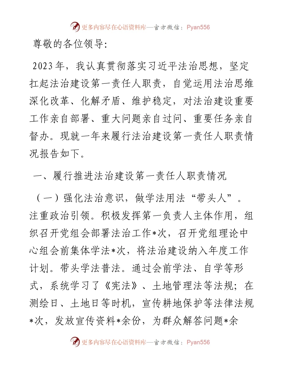党组书记履行法治建设第一责任人述法报告.docx_第1页