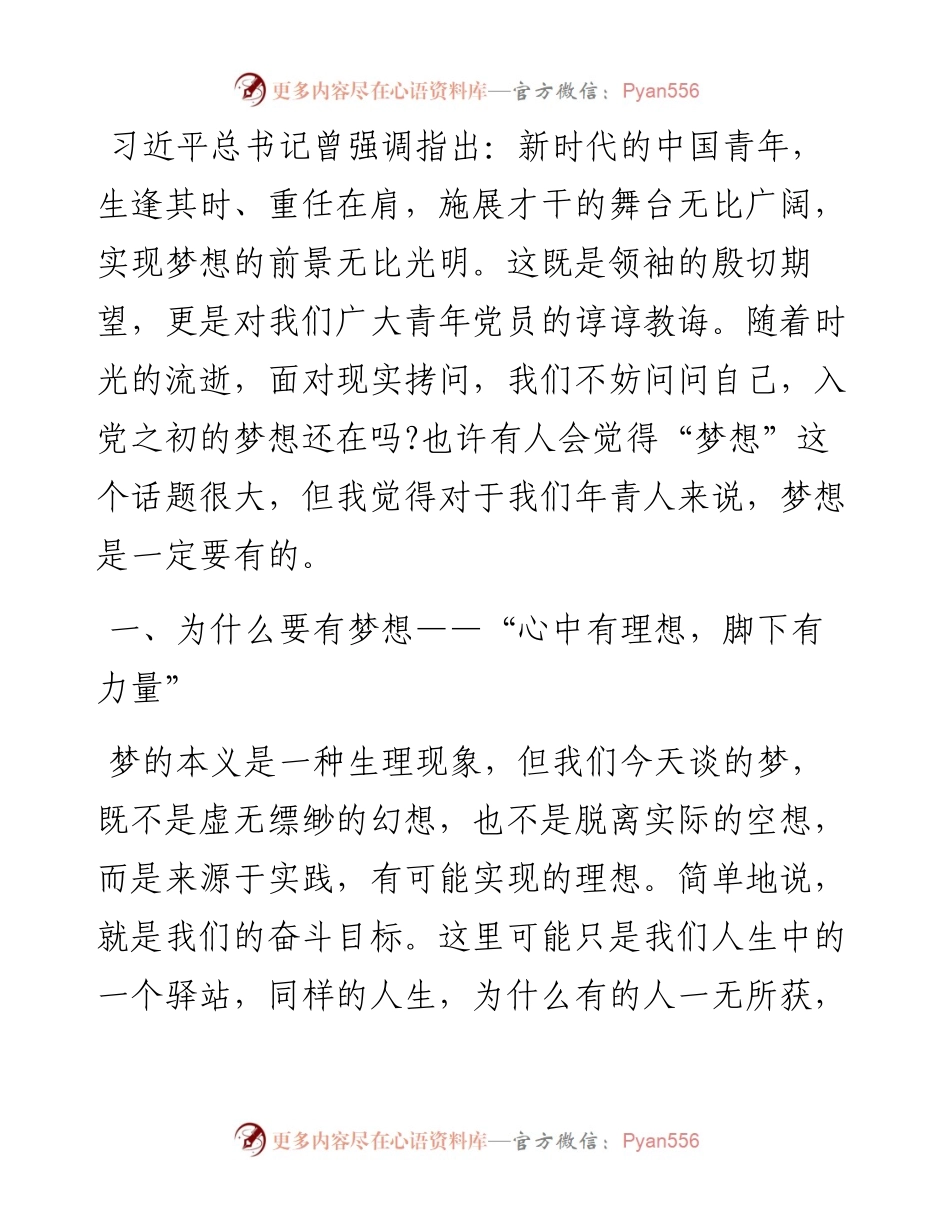 党课：不负韶华，为梦前行，让青春在奋斗中绽放.docx_第1页