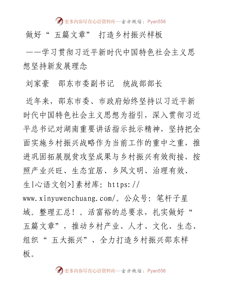 做好“ 五篇文章” 打造乡村振兴样板.docx_第1页