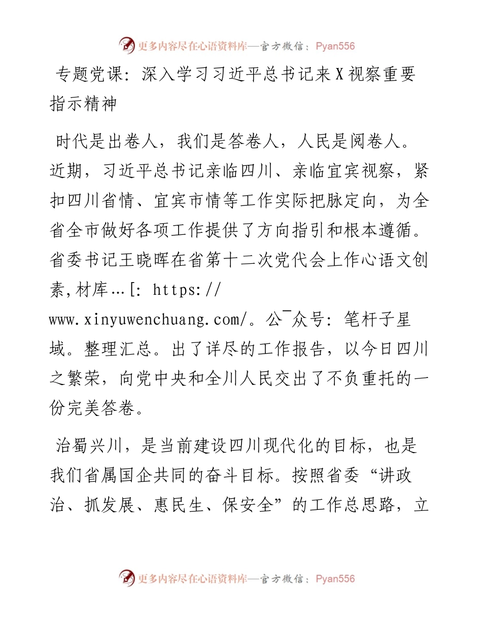 专题党课：深入学习习近平总书记来X视察重要指示精神.docx_第1页