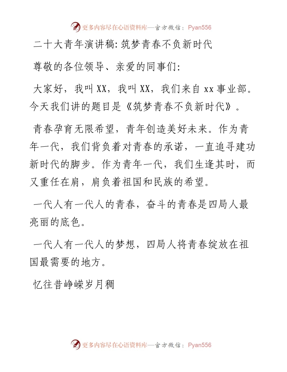 二十大青年演讲稿：筑梦青春不负新时代.docx_第1页