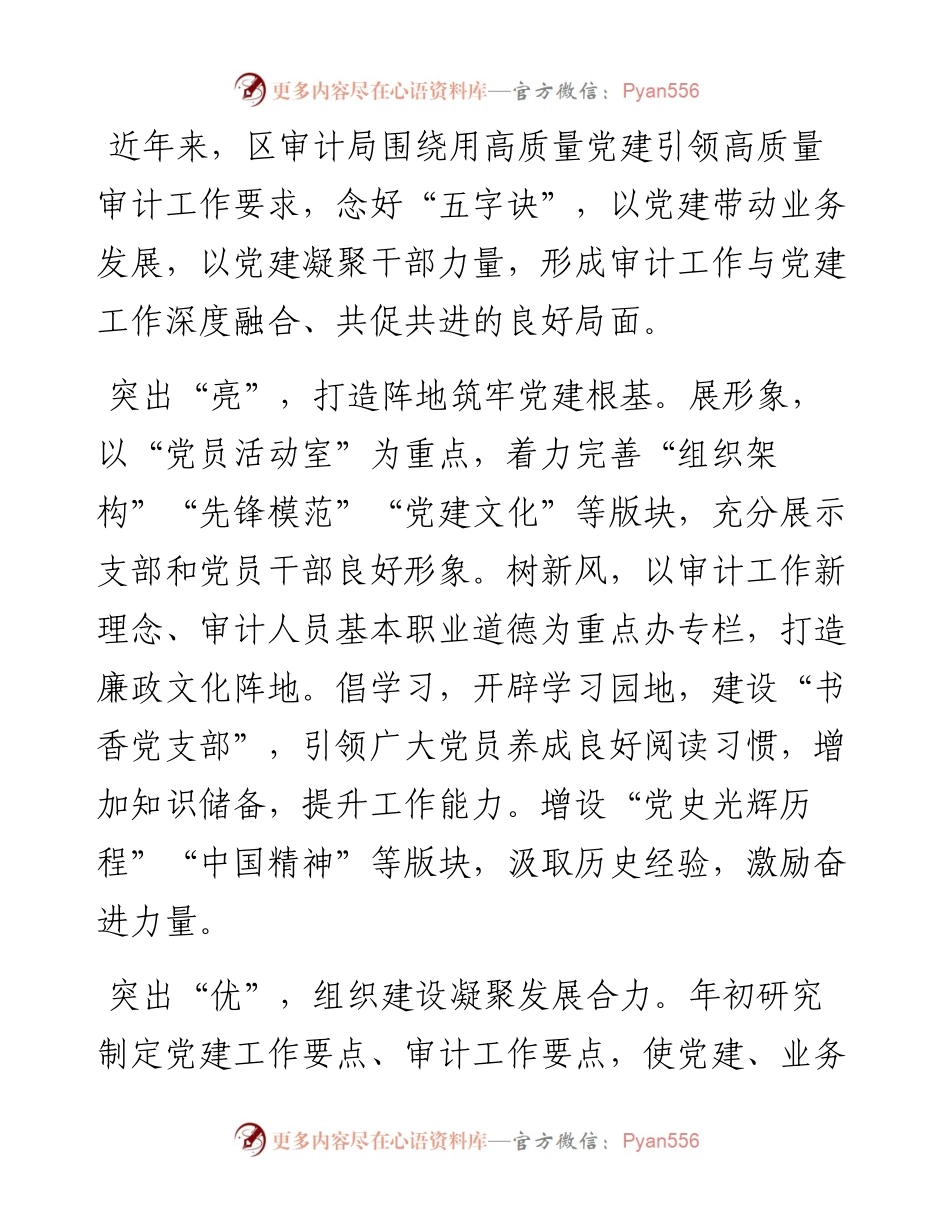 党建品牌创建工作材料：阳光审计 发展卫士（区审计局）.docx_第2页