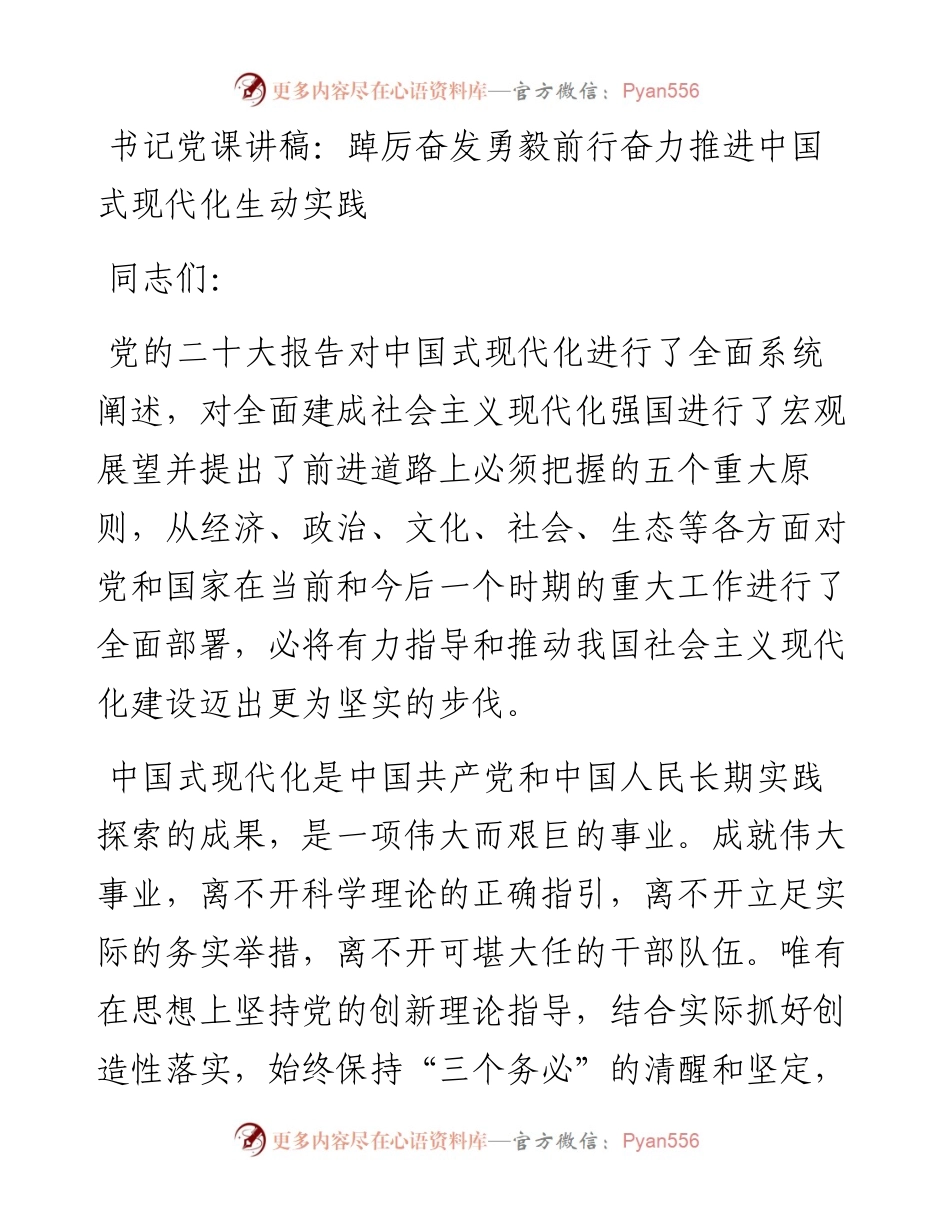书记党课讲稿：踔厉奋发勇毅前行奋力推进中国式现代化生动实践.docx_第1页