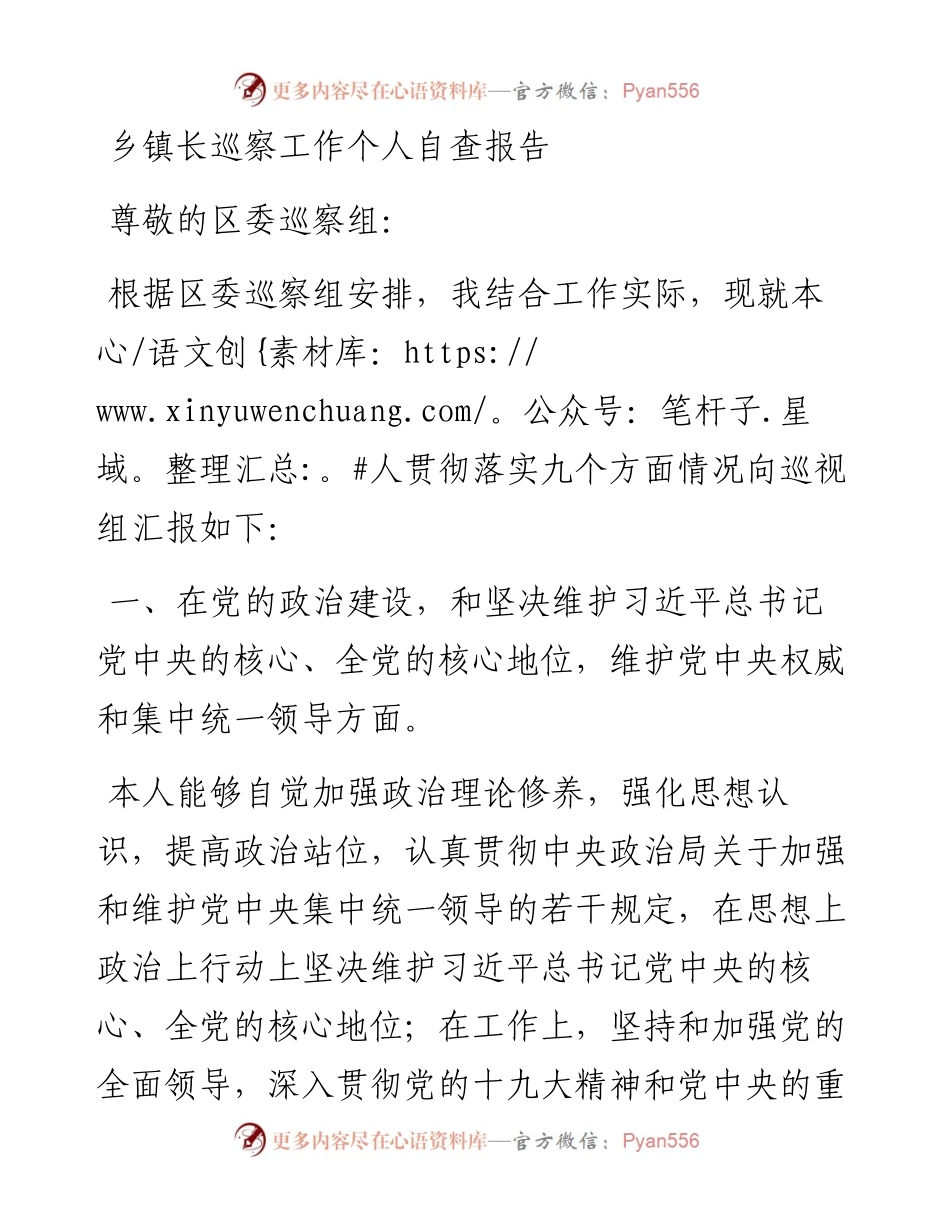 乡镇长巡察工作个人自查报告.docx_第1页