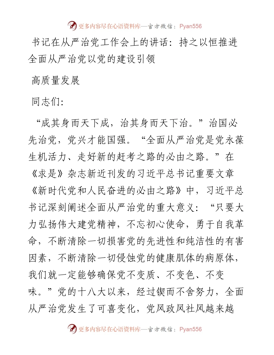 书记在从严治党工作会上的讲话：持之以恒推进全面从严治党以党的建设引领高质量发展.docx_第1页