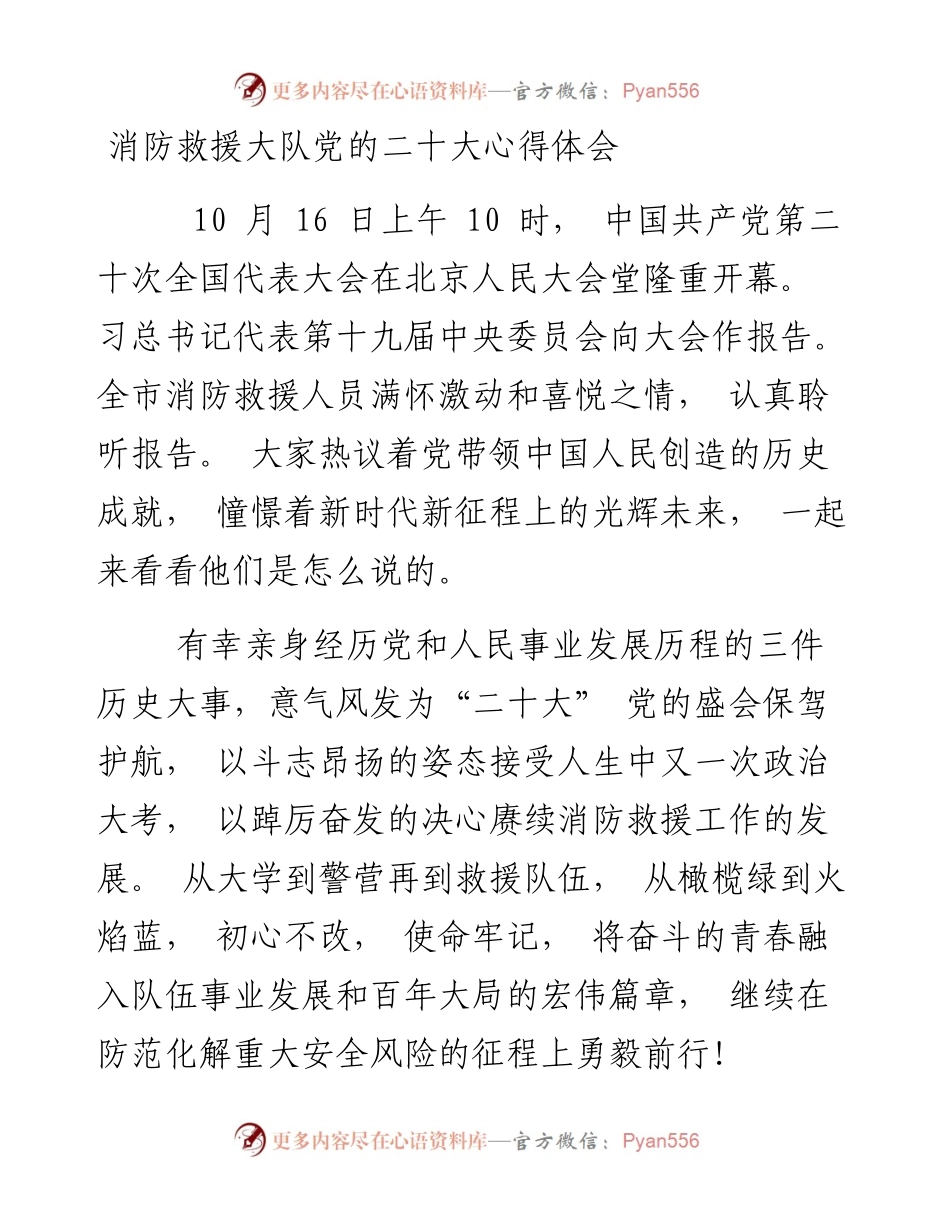 二十大心得体会（消防系统）.docx_第1页