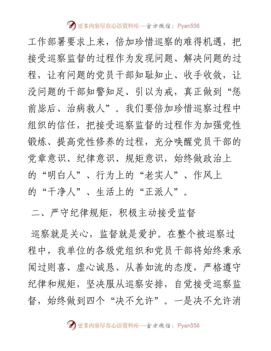 党委书记在巡察工作动员会上的表态发言.docx_第2页