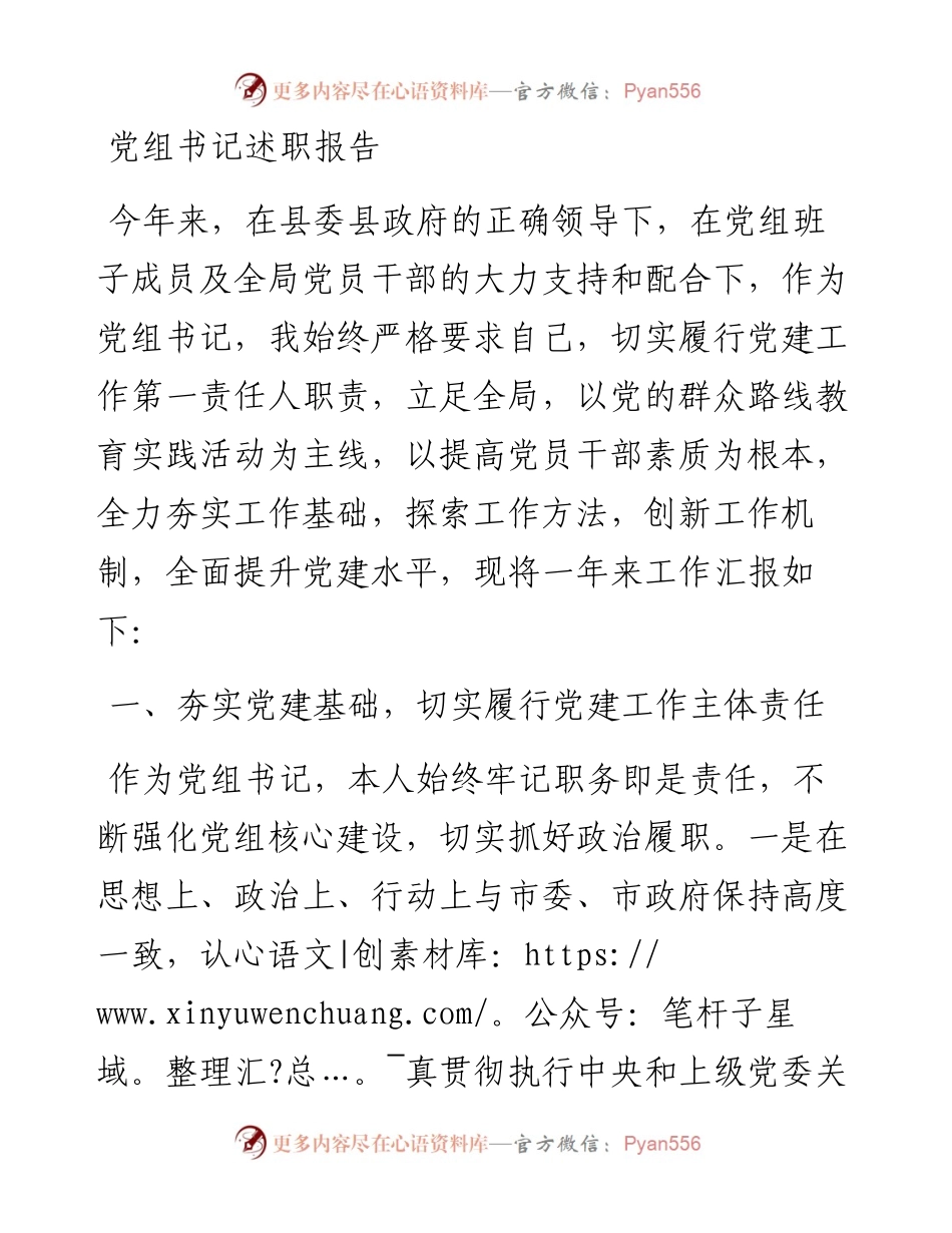 党组书记述职报告.docx_第1页