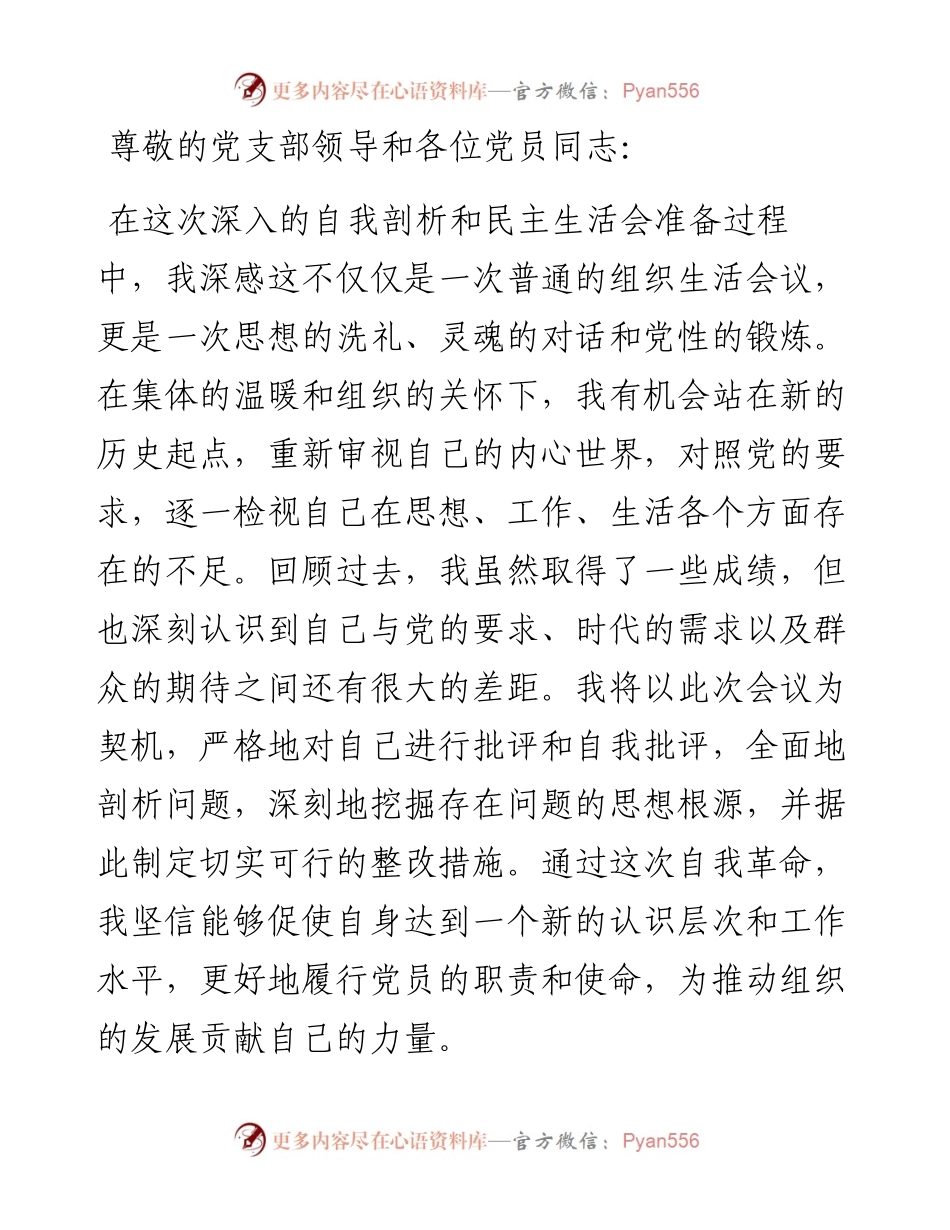 党支部专题民主生活会个人检查材料.docx_第1页