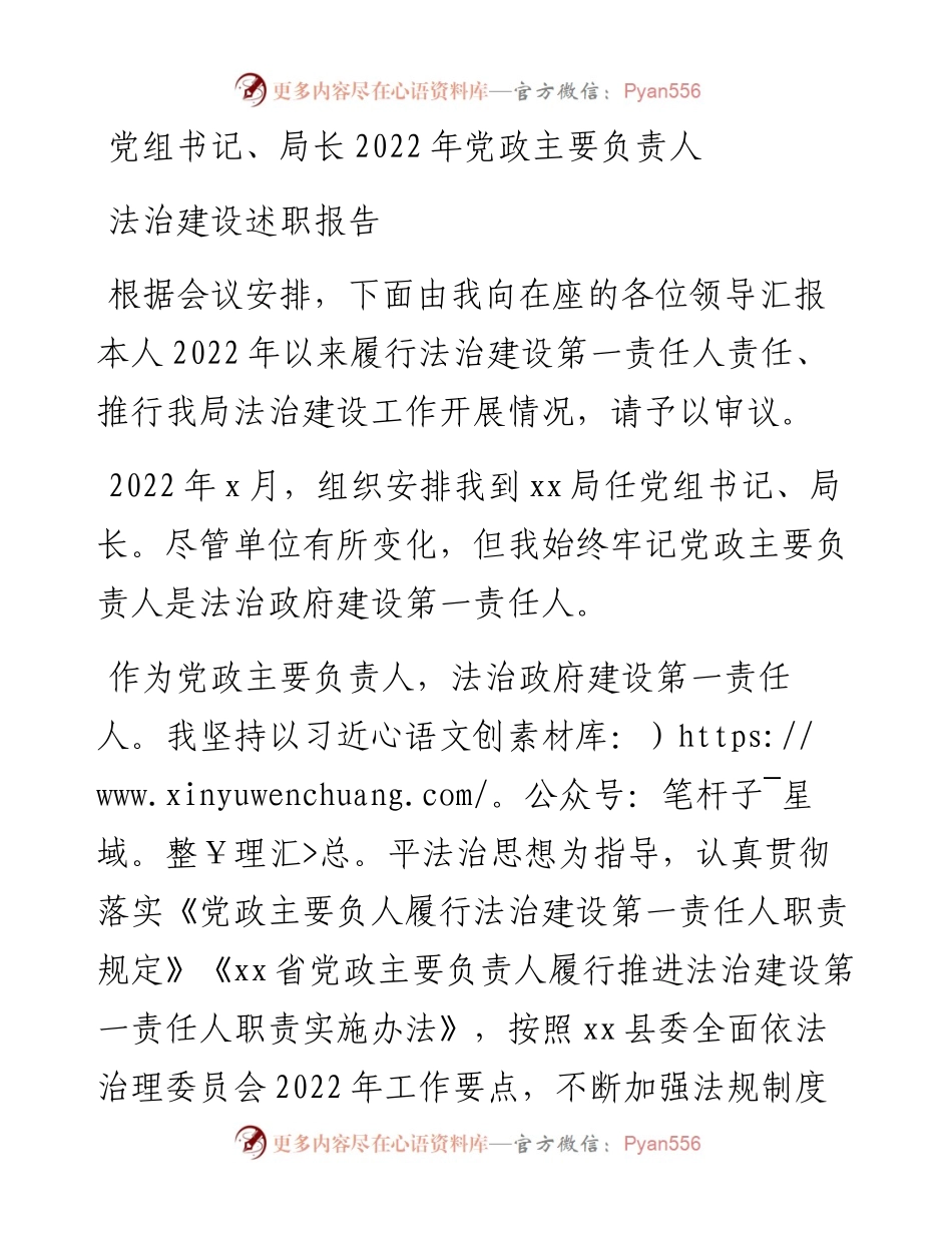 党组书记、局长党政主要负责人法治建设述职报告.docx_第1页