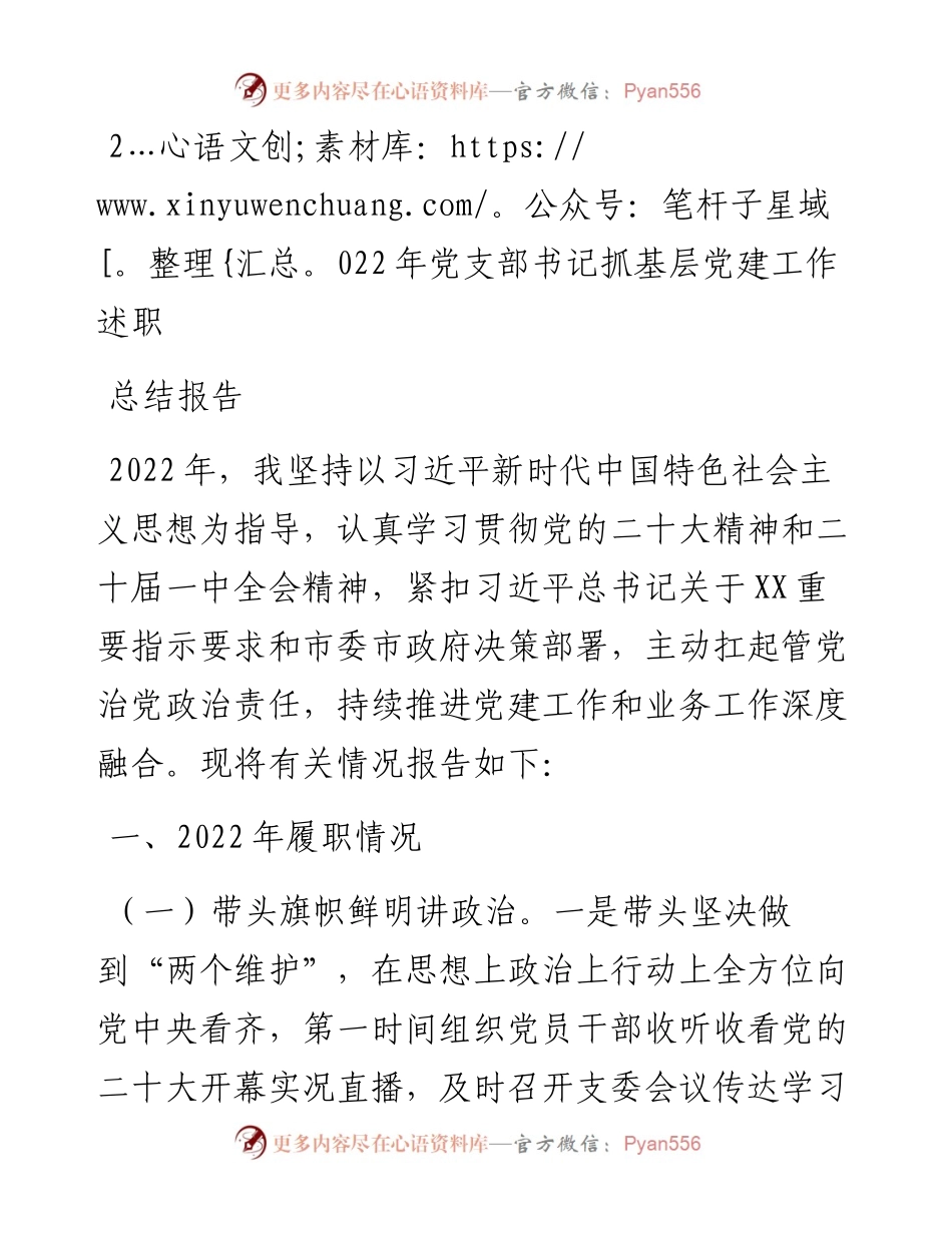 党支部书记抓基层党建工作述职总结报告.docx_第1页