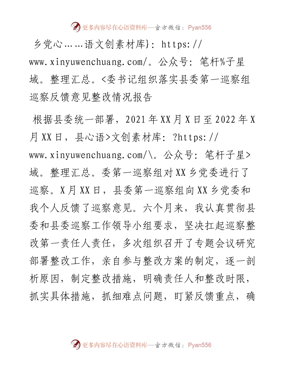 乡党委书记组织落实县委第一巡察组巡察反馈意见整改情况报告.docx_第1页