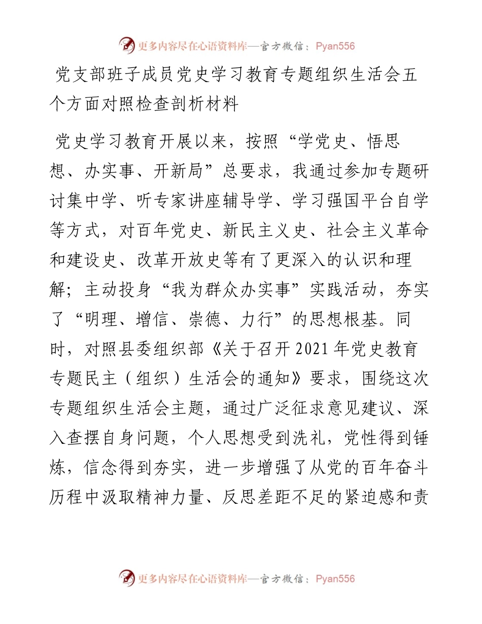 党支部班子成员党史学习教育专题组织生活会五个方面对照检查剖析材料(1).docx_第1页