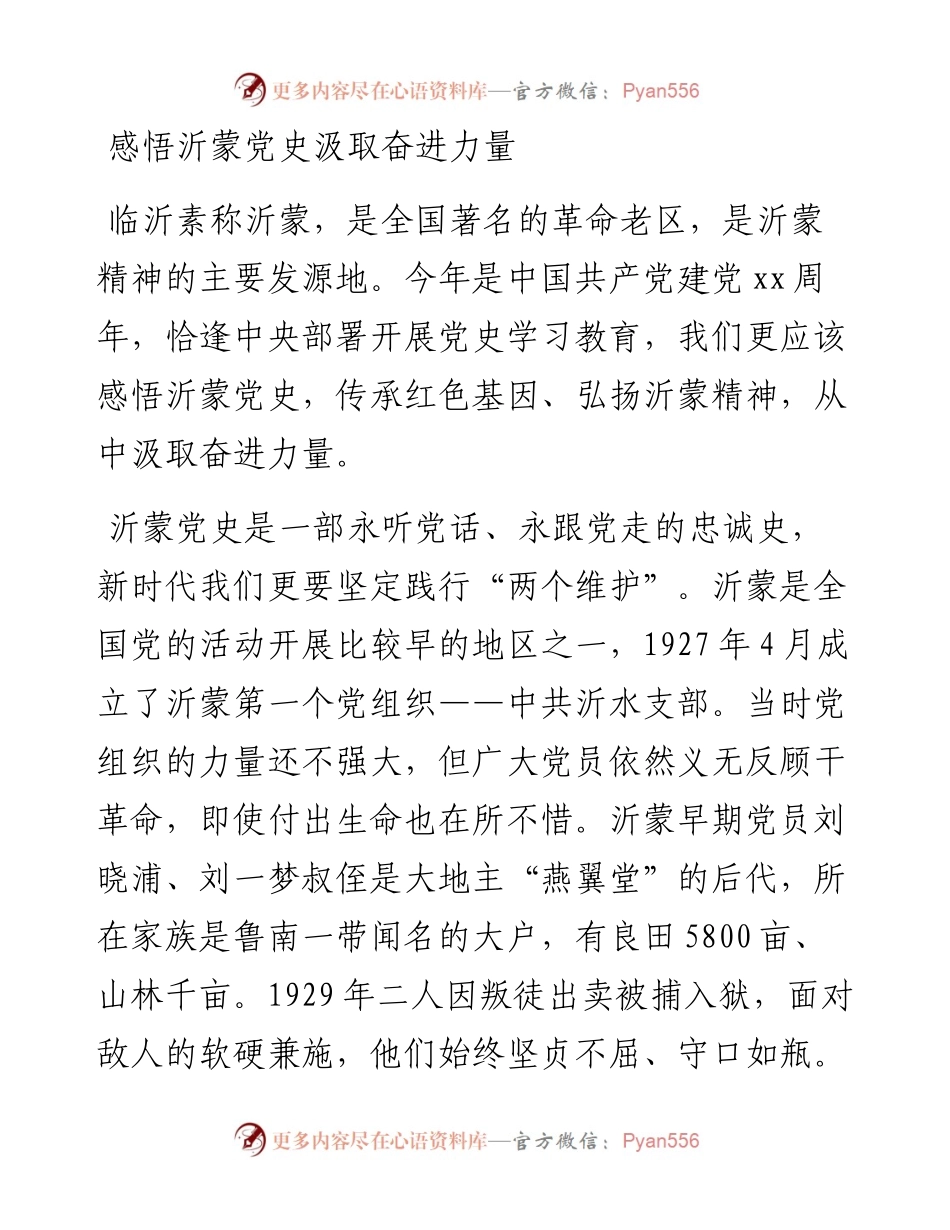 党史党课：感悟沂蒙党史 汲取奋进力量.docx_第1页