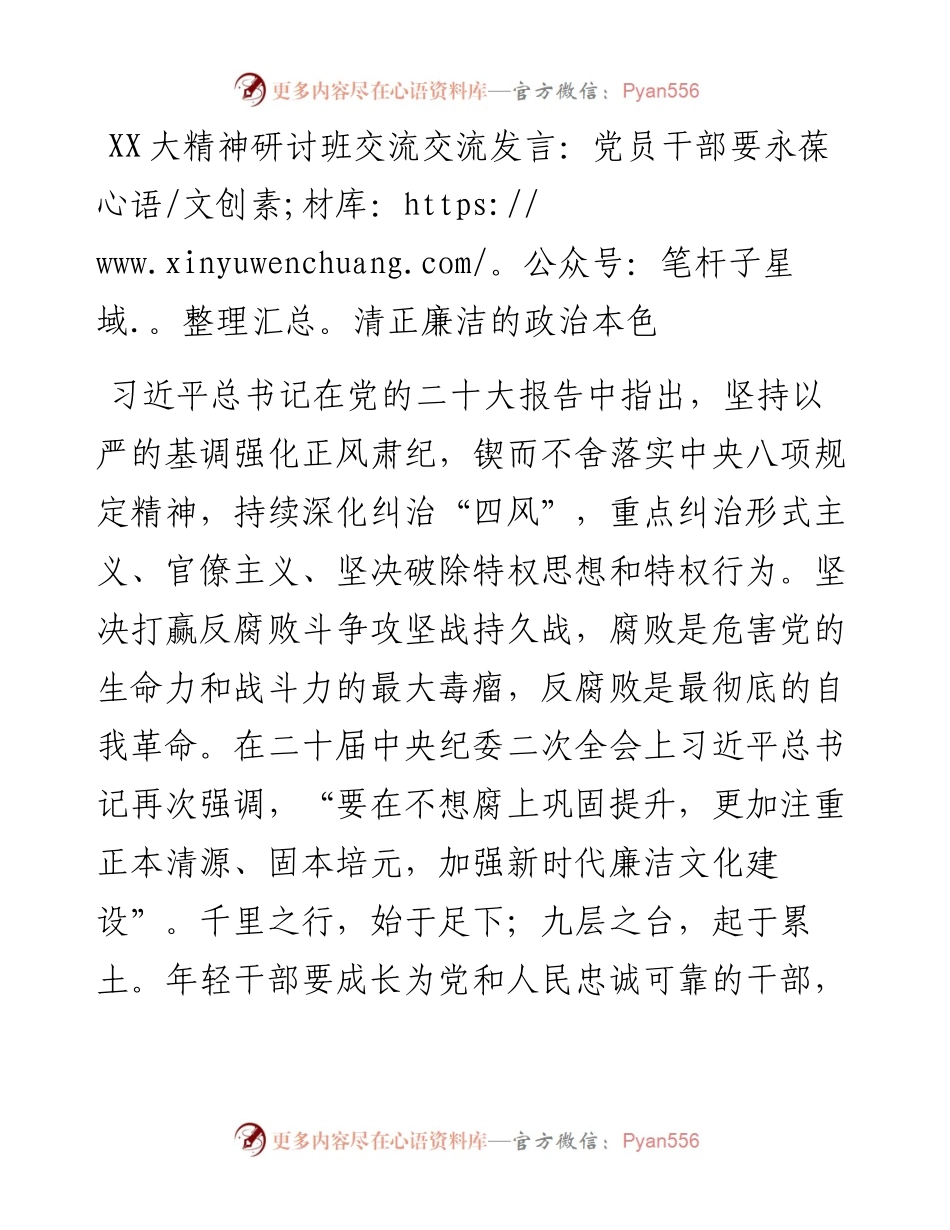 二十大精神研讨班交流交流发言：党员干部要永葆清正廉洁的政治本色.docx_第1页