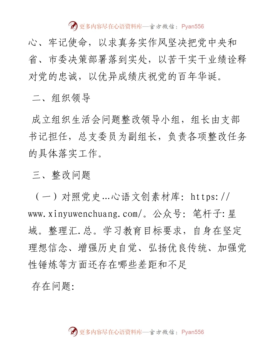 党支部党史学习教育专题组织生活会整改方案.docx_第2页