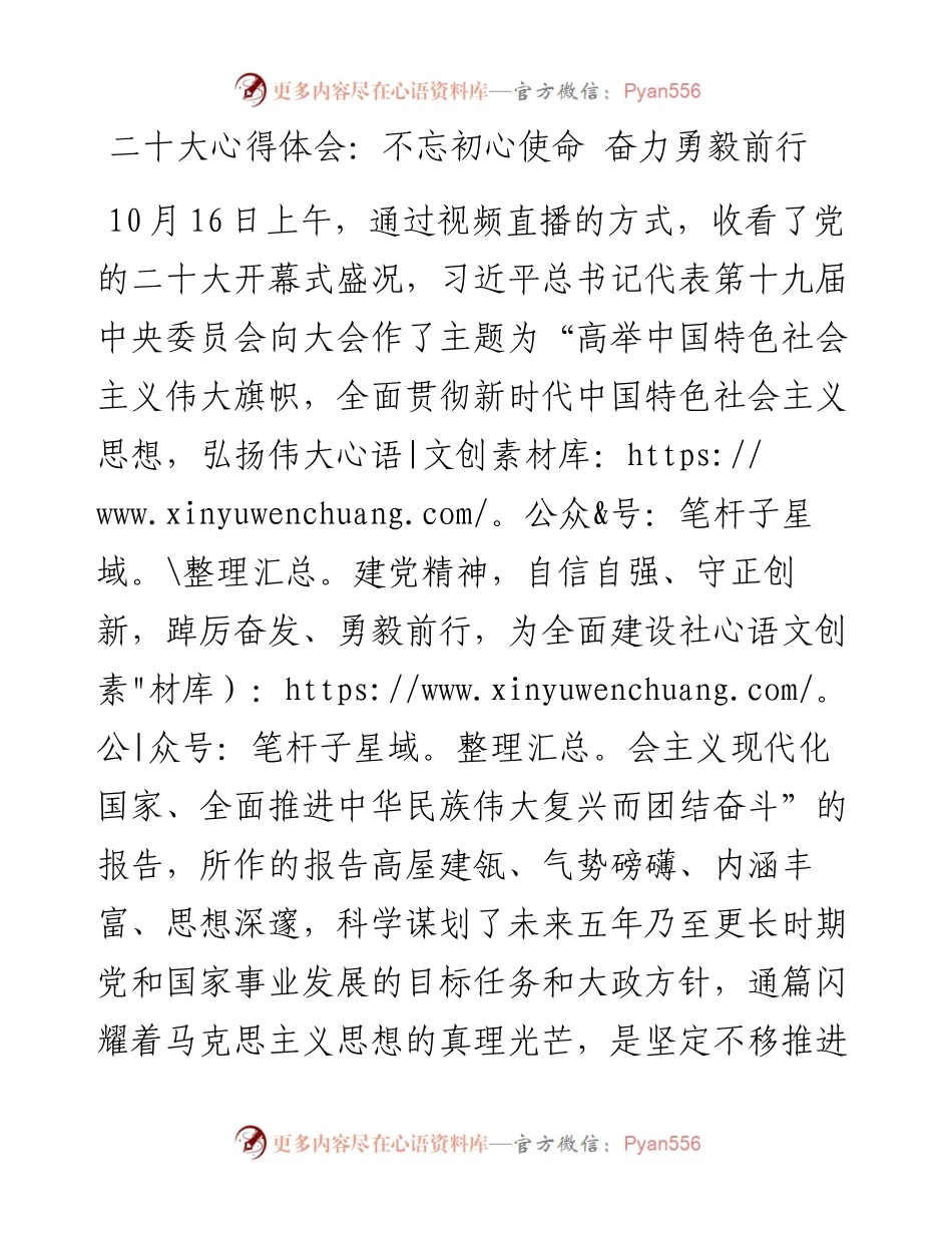 二十大心得体会：不忘初心使命 奋力勇毅前行.docx_第1页
