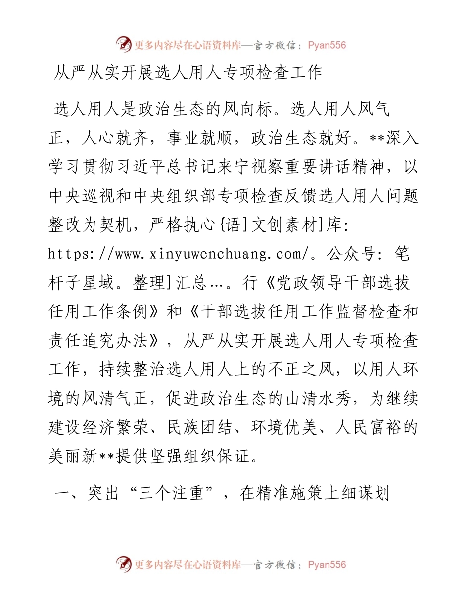 从严从实开展选人用人专项检查工作.docx_第1页