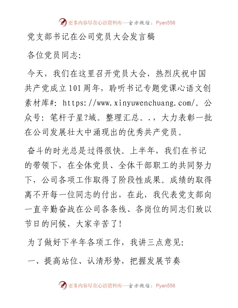 党支部书记在公司党员大会发言稿.docx_第1页