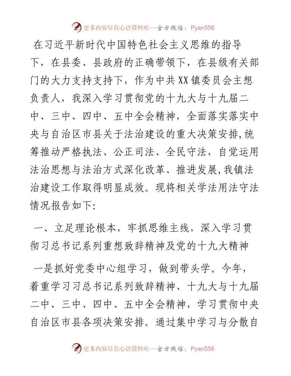 乡镇党委书记XX年度述法报告.docx_第1页