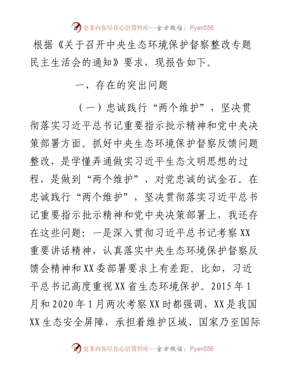 中央生态环境保护督察整改专题民主生活会个人发言提纲.docx_第1页