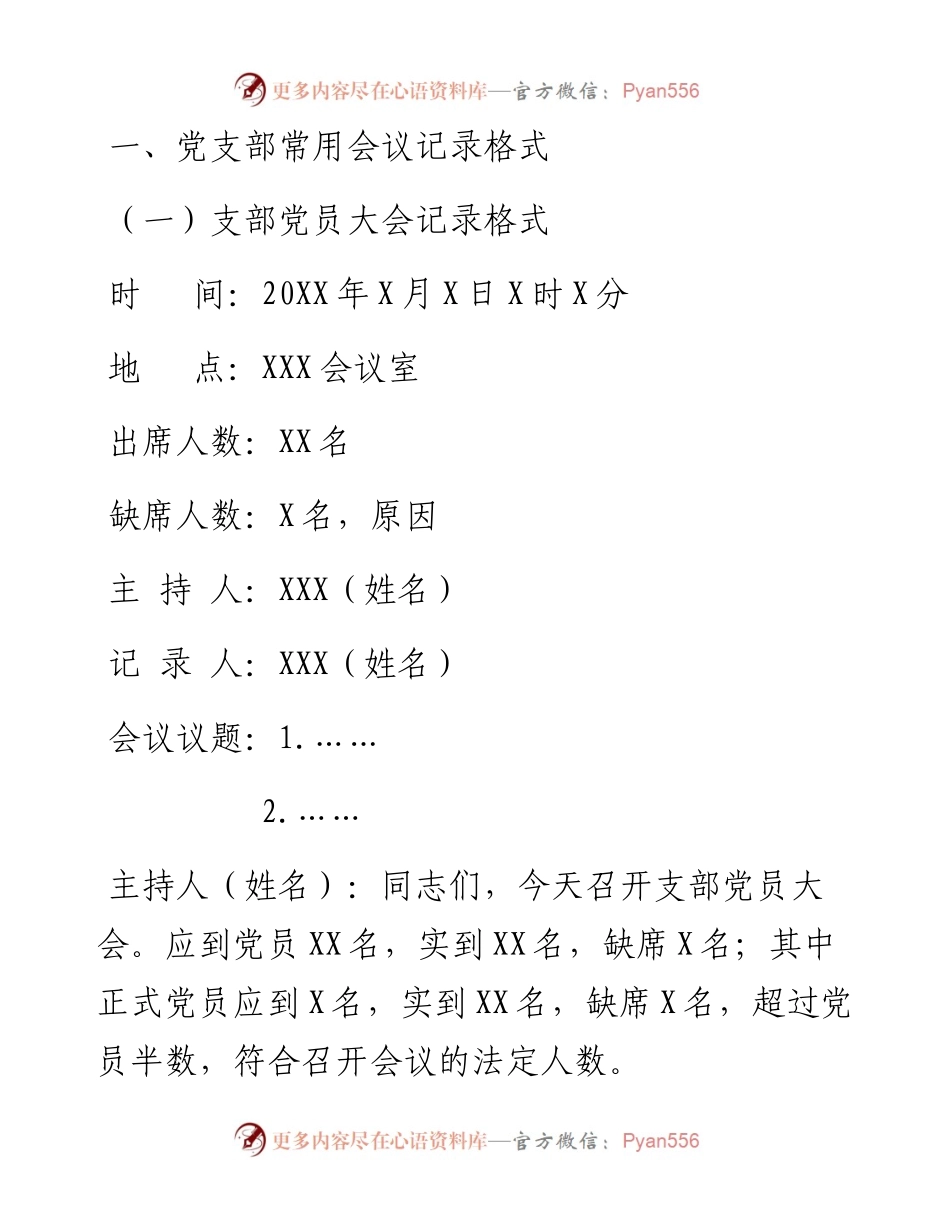 党支部会议记录格式_4.docx_第1页