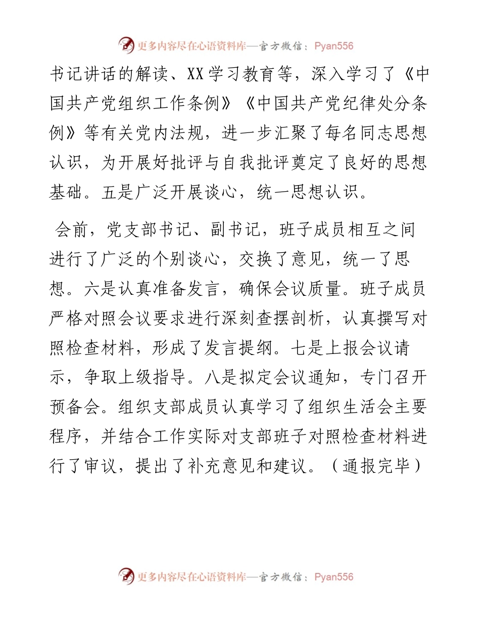 党支部专题组织生活会前准备及整改落实情况.docx_第2页