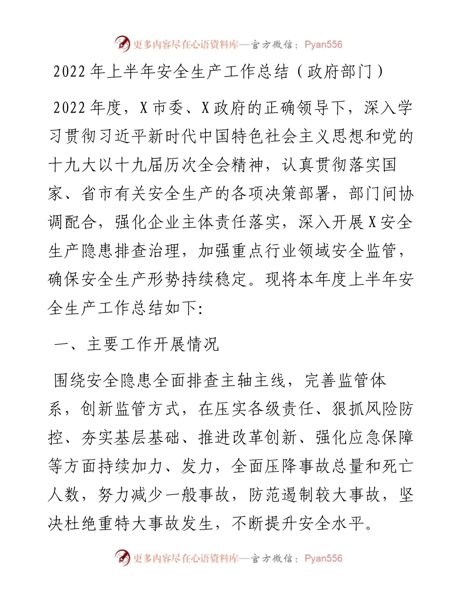 上半年安全生产工作总结（政府部门）.docx_第1页