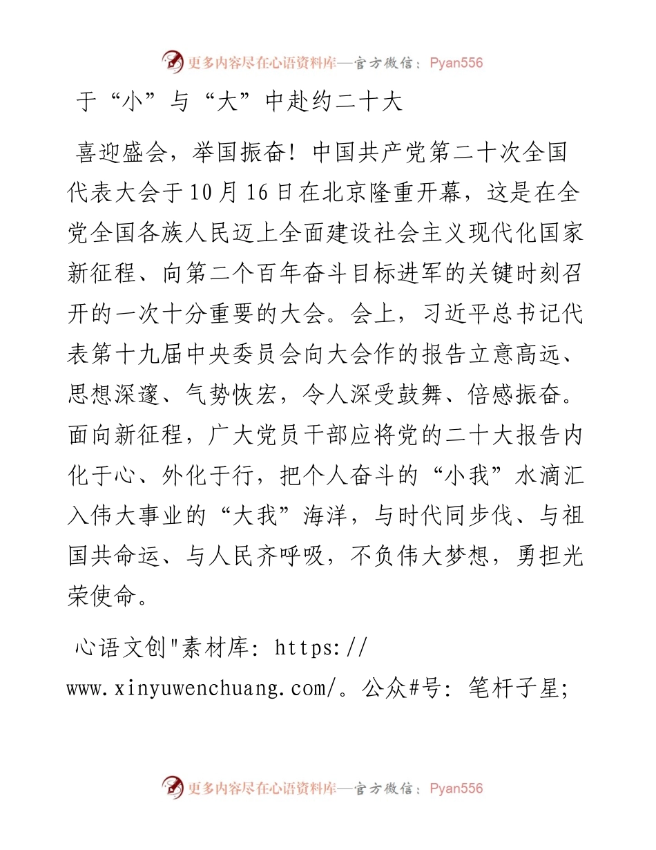 二十大学习心得：于“小”与“大”中赴约二十大.docx_第1页
