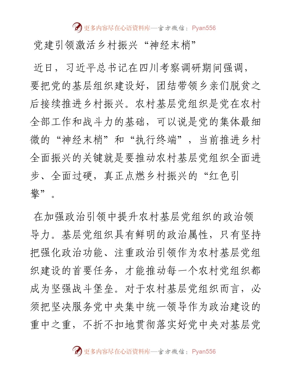 党建引领激活乡村振兴“神经末梢”.docx_第1页