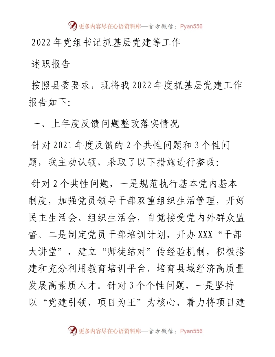 党组书记抓基层党建等工作述职报告.docx_第1页