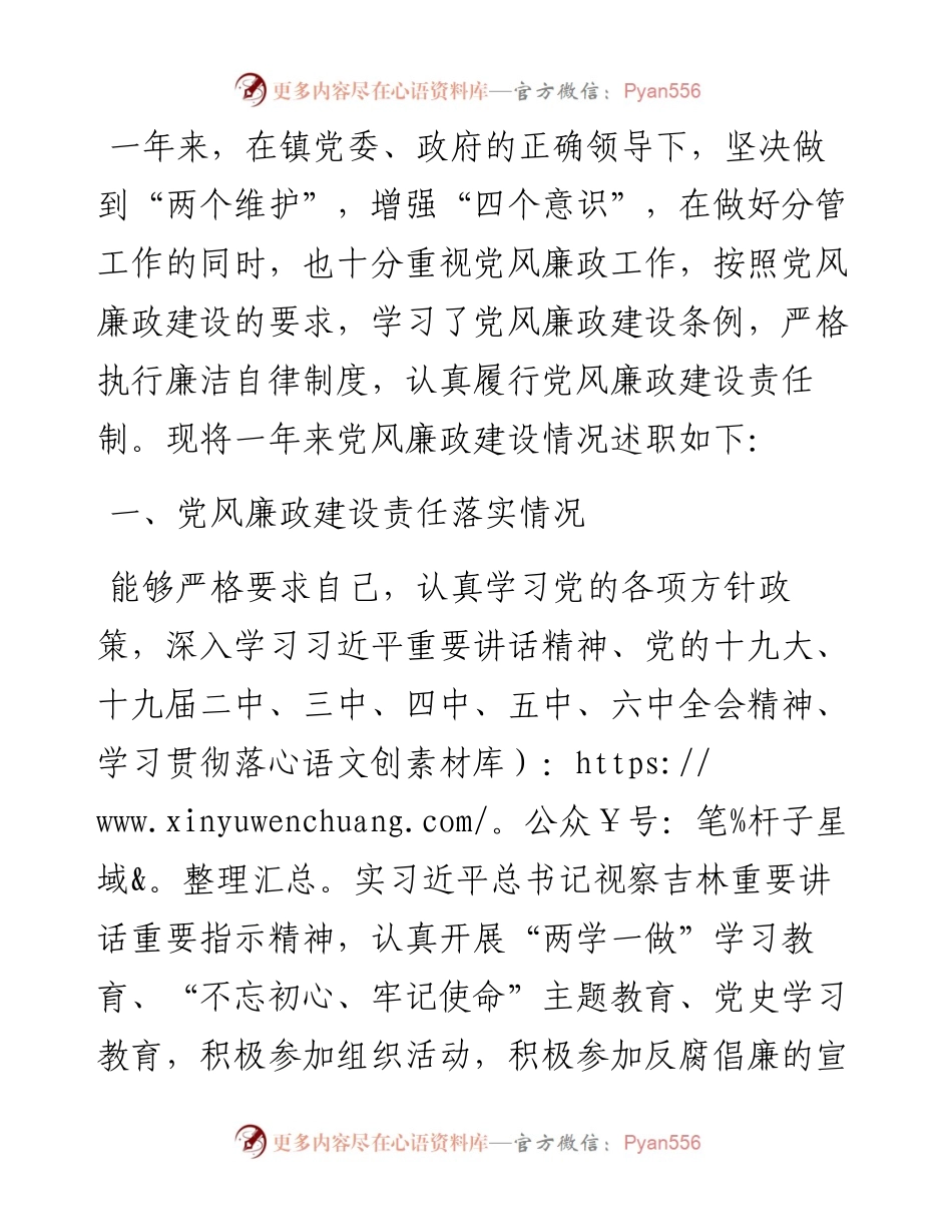 乡镇副镇长述责述廉报告.docx_第1页